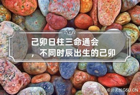 日柱己卯|己卯日柱三命通会论命，六十日柱之己卯日出生人男女命运详解